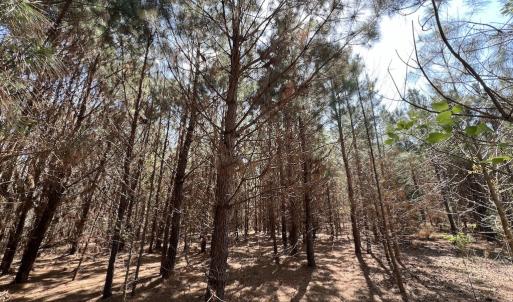 Photo #35 of Off Old Washington Road, Washington, NC 10.6 acres