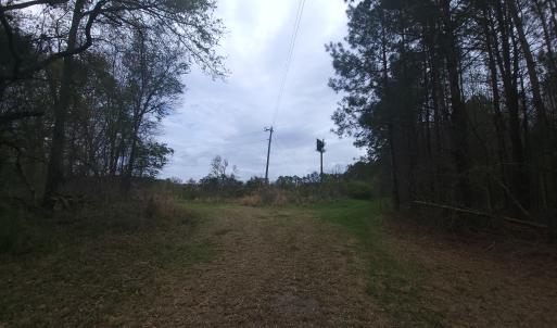 Photo #9 of Off Mulberry Road, St. George, SC 11.7 acres