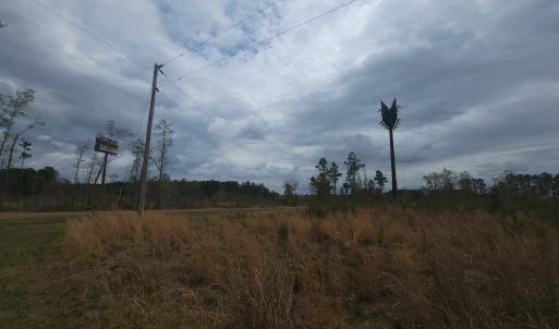 Photo #5 of Off Mulberry Road, St. George, SC 11.7 acres