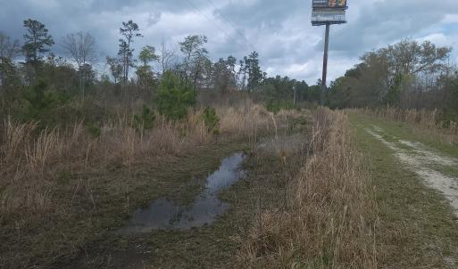 Photo #6 of Off Mulberry Road, St. George, SC 11.7 acres