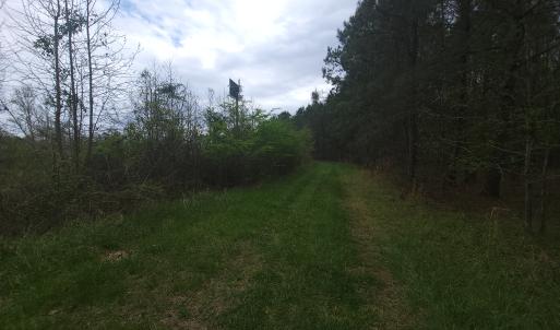 Photo #7 of Off Mulberry Road, St. George, SC 11.7 acres