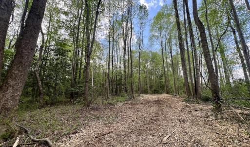 Photo #10 of Off Red Road, Nashville, NC 29.5 acres