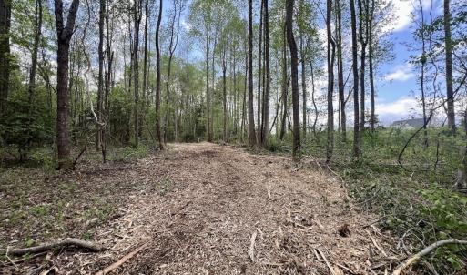 Photo #11 of Off Red Road, Nashville, NC 29.5 acres