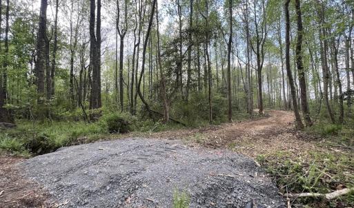 Photo #13 of Off Red Road, Nashville, NC 29.5 acres