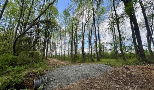 Photo #14 of Off Red Road, Nashville, NC 29.5 acres