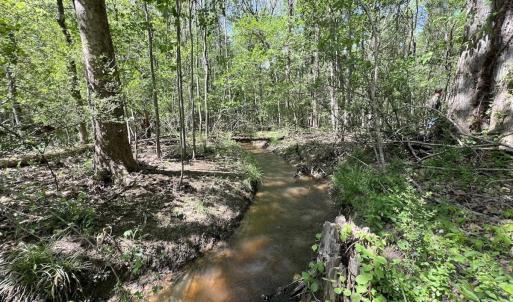 Photo #18 of Off Red Road, Nashville, NC 29.5 acres