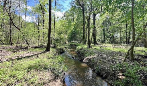 Photo #19 of Off Red Road, Nashville, NC 29.5 acres