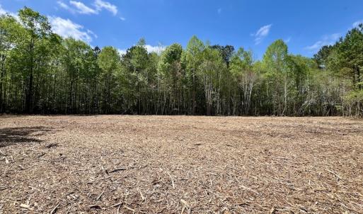 Photo #1 of Off Red Road, Nashville, NC 29.5 acres