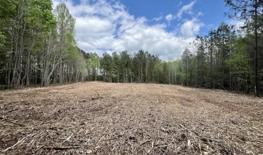 Photo #2 of Off Red Road, Nashville, NC 29.5 acres