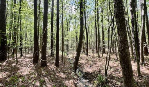 Photo #20 of Off Red Road, Nashville, NC 29.5 acres