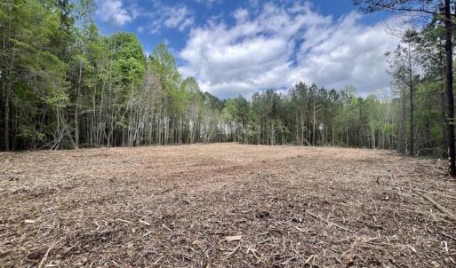 Photo #3 of Off Red Road, Nashville, NC 29.5 acres