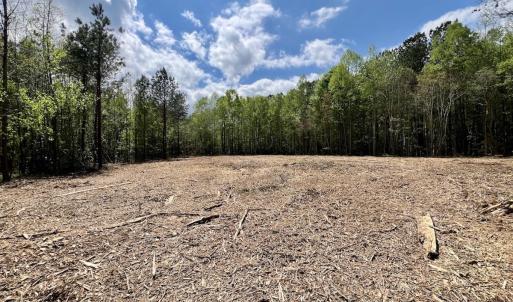 Photo #5 of Off Red Road, Nashville, NC 29.5 acres