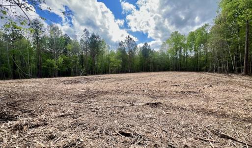 Photo #6 of Off Red Road, Nashville, NC 29.5 acres