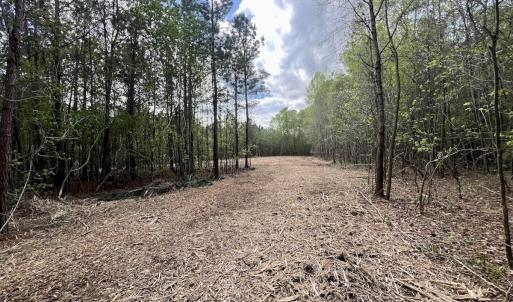 Photo #8 of Off Red Road, Nashville, NC 29.5 acres
