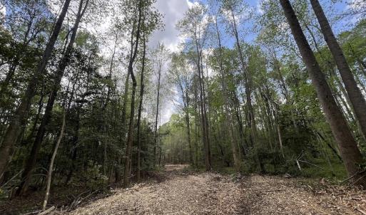 Photo #9 of Off Red Road, Nashville, NC 29.5 acres