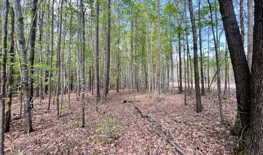 Photo #24 of Off Red Road, Nashville, NC 29.5 acres