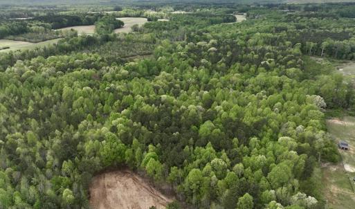 Photo #27 of Off Red Road, Nashville, NC 29.5 acres