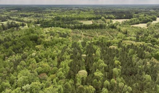 Photo #30 of Off Red Road, Nashville, NC 29.5 acres
