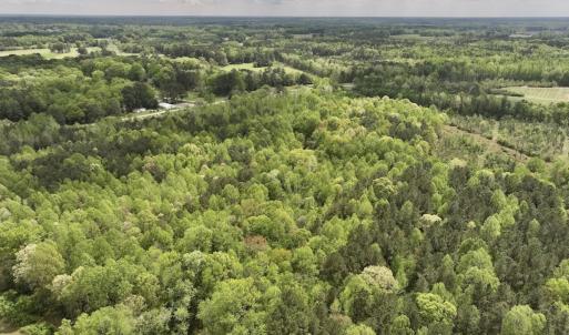 Photo #31 of Off Red Road, Nashville, NC 29.5 acres