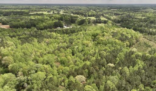 Photo #32 of Off Red Road, Nashville, NC 29.5 acres