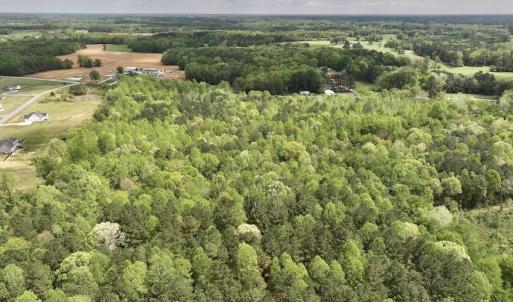 Photo #34 of Off Red Road, Nashville, NC 29.5 acres