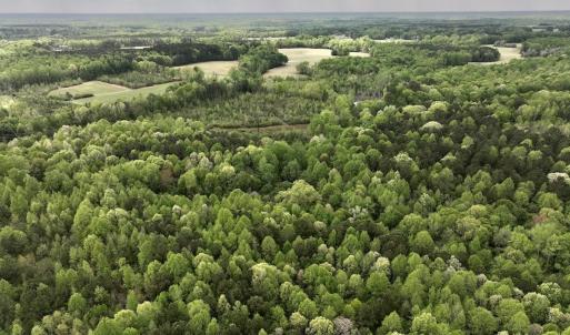 Photo #43 of Off Red Road, Nashville, NC 29.5 acres