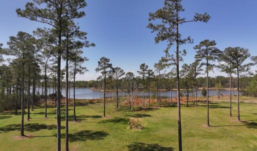 Photo #12 of Off Bailey Pointe Dr, Lot 82, Belhaven, NC 1.9 acres