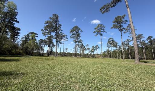 Photo #14 of Off Bailey Pointe Dr, Lot 82, Belhaven, NC 1.9 acres