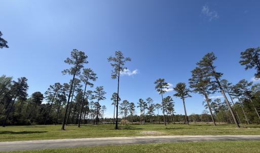 Photo #15 of Off Bailey Pointe Dr, Lot 82, Belhaven, NC 1.9 acres