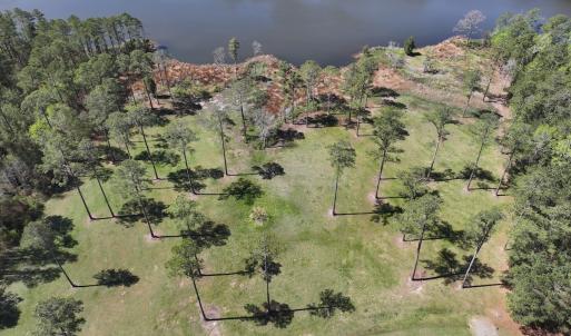 Photo #5 of Off Bailey Pointe Dr, Lot 82, Belhaven, NC 1.9 acres