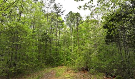 Photo #10 of Off Stoneridge Drive, Lot 5, Stem, NC 23.9 acres