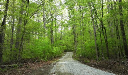 Photo #11 of Off Stoneridge Drive, Lot 5, Stem, NC 23.9 acres