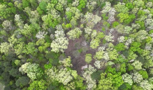 Photo #13 of Off Stoneridge Drive, Lot 5, Stem, NC 23.9 acres
