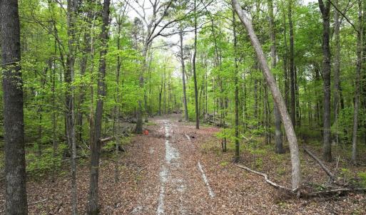 Photo #14 of Off Stoneridge Drive, Lot 5, Stem, NC 23.9 acres