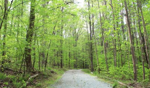 Photo #15 of Off Stoneridge Drive, Lot 5, Stem, NC 23.9 acres