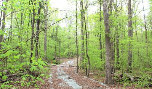 Photo #17 of Off Stoneridge Drive, Lot 5, Stem, NC 23.9 acres