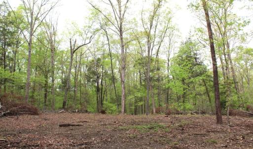 Photo #20 of Off Stoneridge Drive, Lot 5, Stem, NC 23.9 acres
