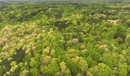 Photo #6 of Off Stoneridge Drive, Lot 5, Stem, NC 23.9 acres
