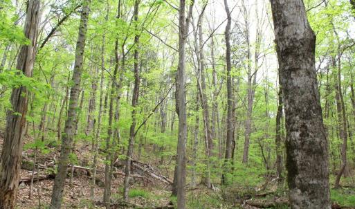 Photo #25 of Off Stoneridge Drive, Lot 5, Stem, NC 23.9 acres