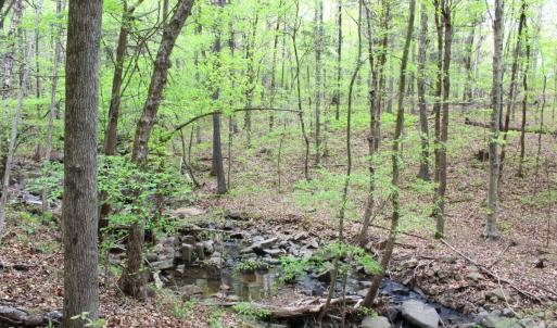 Photo #26 of Off Stoneridge Drive, Lot 5, Stem, NC 23.9 acres