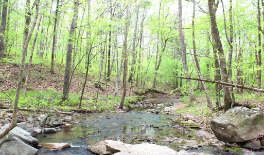 Photo #21 of Off Stoneridge Drive, Lot 5, Stem, NC 23.9 acres