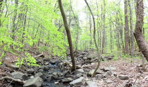 Photo #22 of Off Stoneridge Drive, Lot 5, Stem, NC 23.9 acres