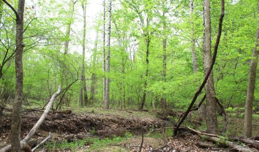 Photo #23 of Off Stoneridge Drive, Lot 5, Stem, NC 23.9 acres