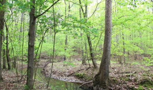 Photo #24 of Off Stoneridge Drive, Lot 5, Stem, NC 23.9 acres