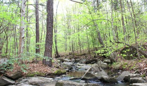 Photo #27 of Off Stoneridge Drive, Lot 5, Stem, NC 23.9 acres