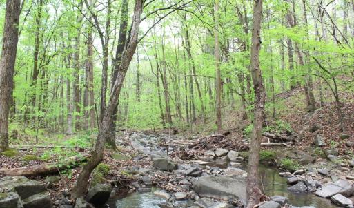 Photo #28 of Off Stoneridge Drive, Lot 5, Stem, NC 23.9 acres