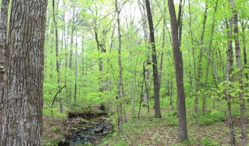 Photo #30 of Off Stoneridge Drive, Lot 5, Stem, NC 23.9 acres
