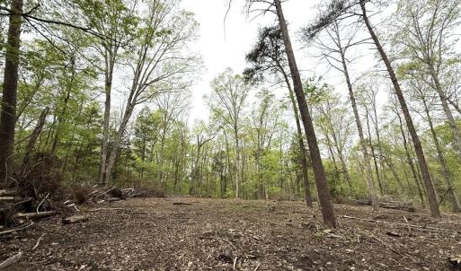 Photo #32 of Off Stoneridge Drive, Lot 5, Stem, NC 23.9 acres