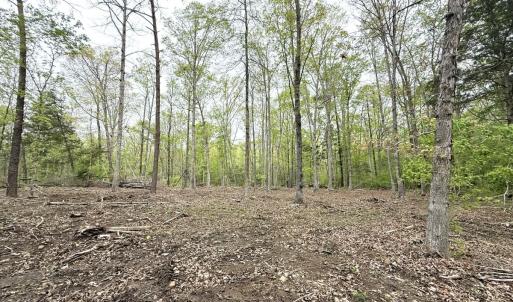 Photo #33 of Off Stoneridge Drive, Lot 5, Stem, NC 23.9 acres