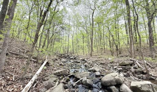 Photo #35 of Off Stoneridge Drive, Lot 5, Stem, NC 23.9 acres